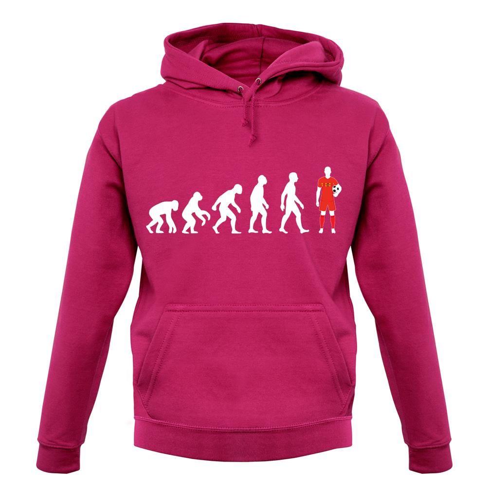 Evolution Of Man Belgium unisex hoodie