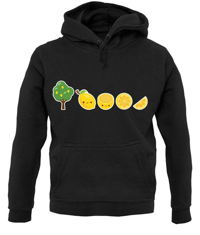 Evolution Of Lemon unisex hoodie