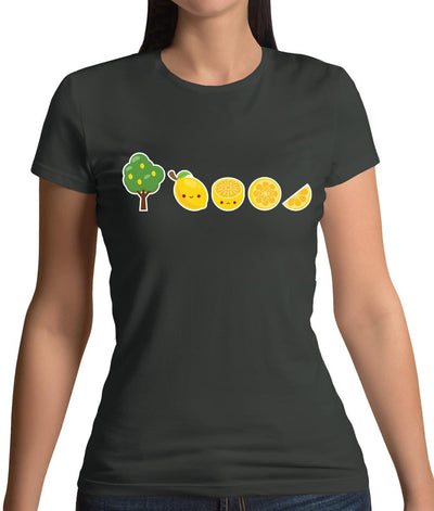 Evolution Of Lemon Womens T-Shirt
