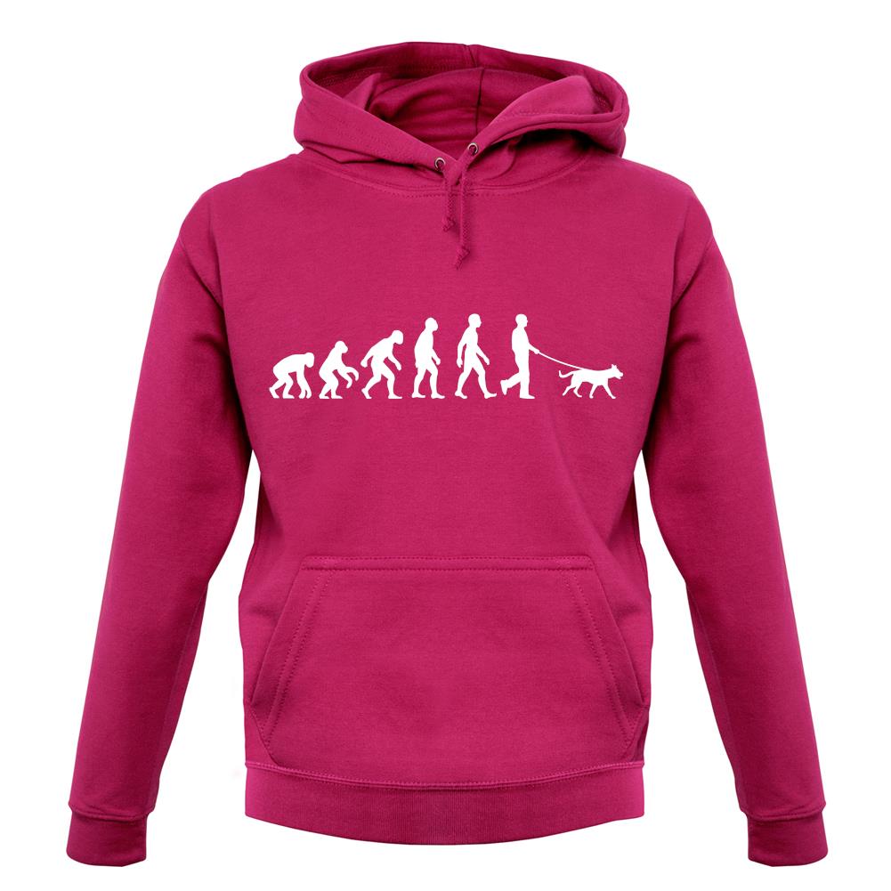 Evolution Of Man Dog Walking unisex hoodie