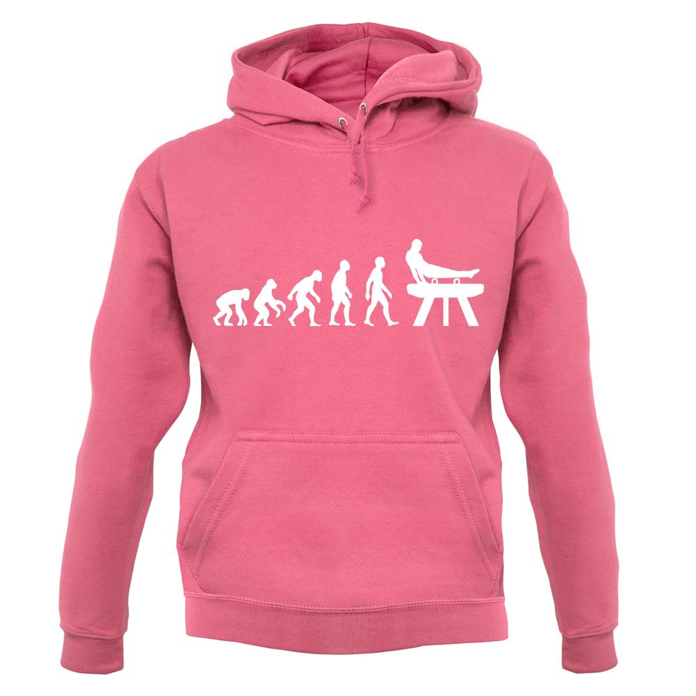 Evolution Of Man Pommel Horse unisex hoodie