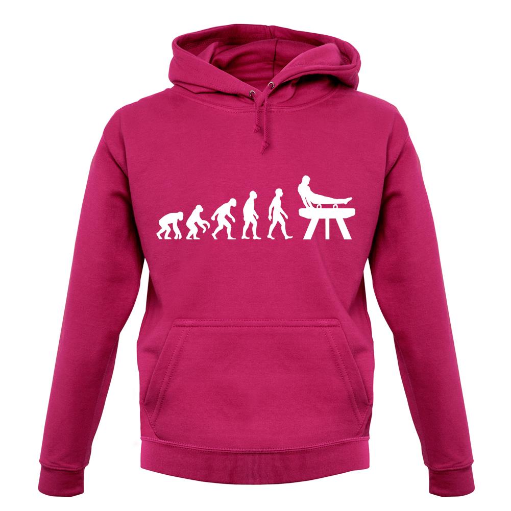 Evolution Of Man Pommel Horse unisex hoodie