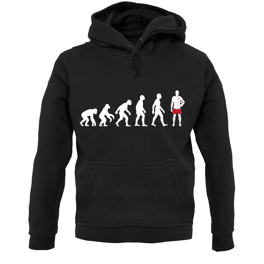 Evolution Of Man Poland Unisex Hoodie