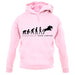 Evolution Of Woman Show Jumping unisex hoodie