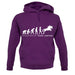 Evolution Of Woman Show Jumping unisex hoodie