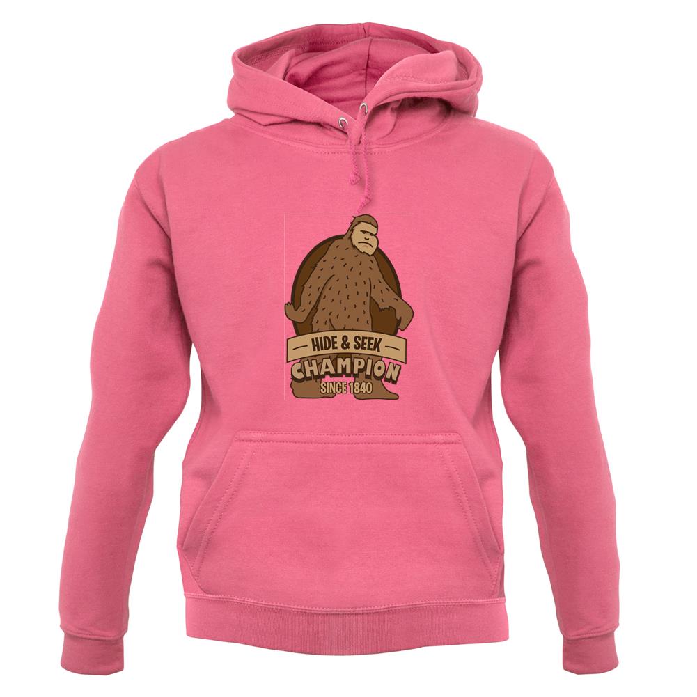 Hide & Seek Champion Unisex Hoodie