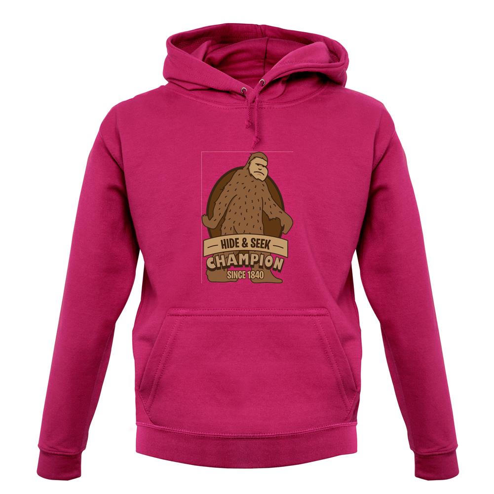 Hide & Seek Champion Unisex Hoodie