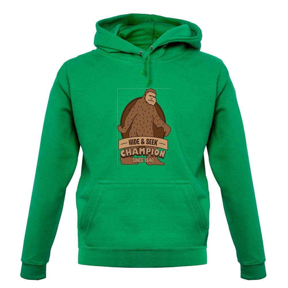 Hide & Seek Champion Unisex Hoodie