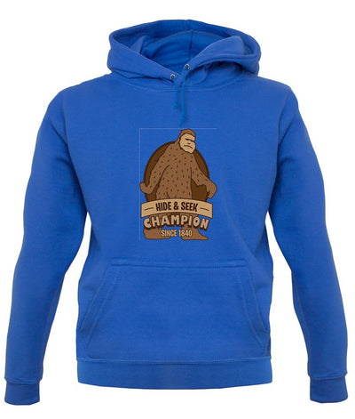 Hide & Seek Champion Unisex Hoodie