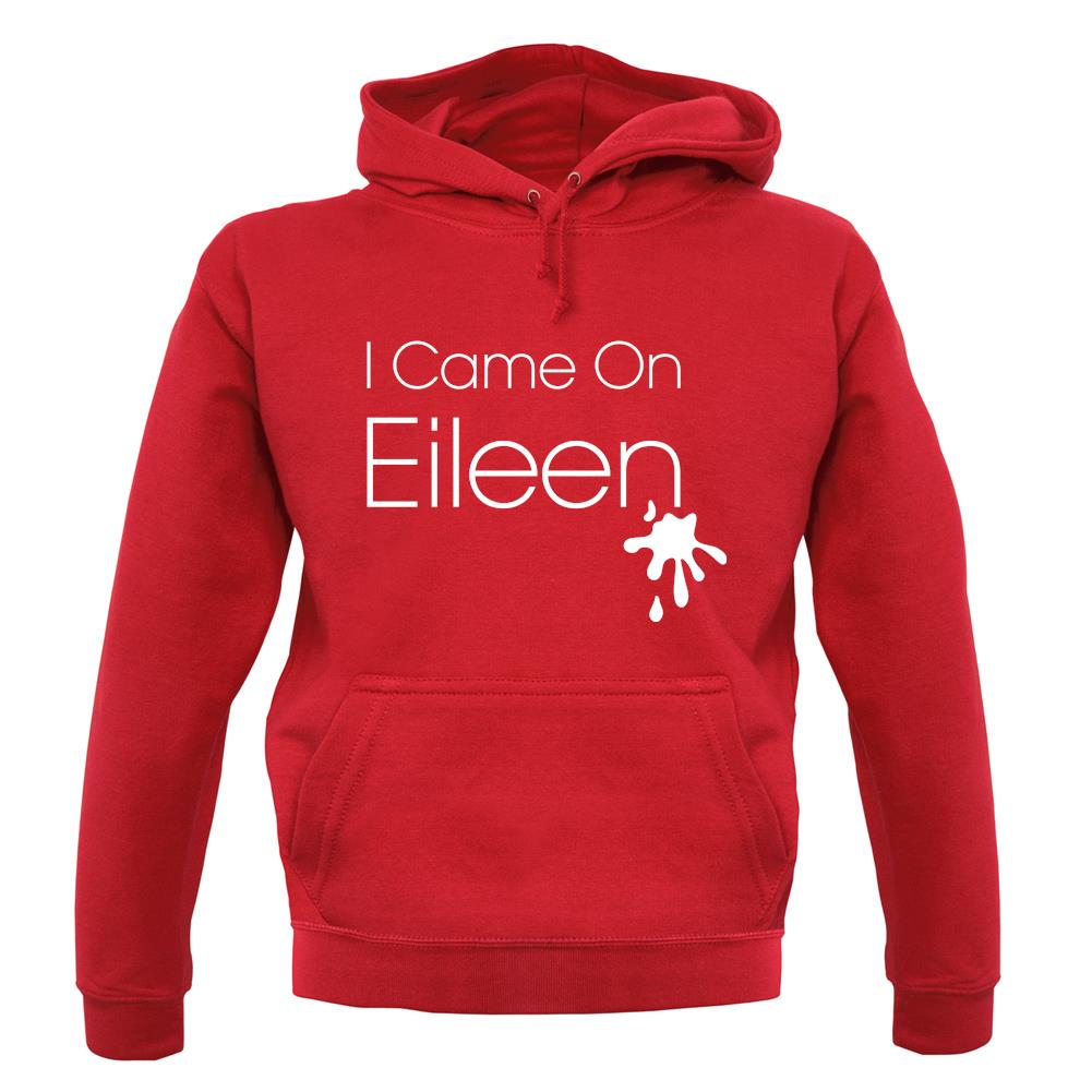 I Came On Eileen unisex hoodie