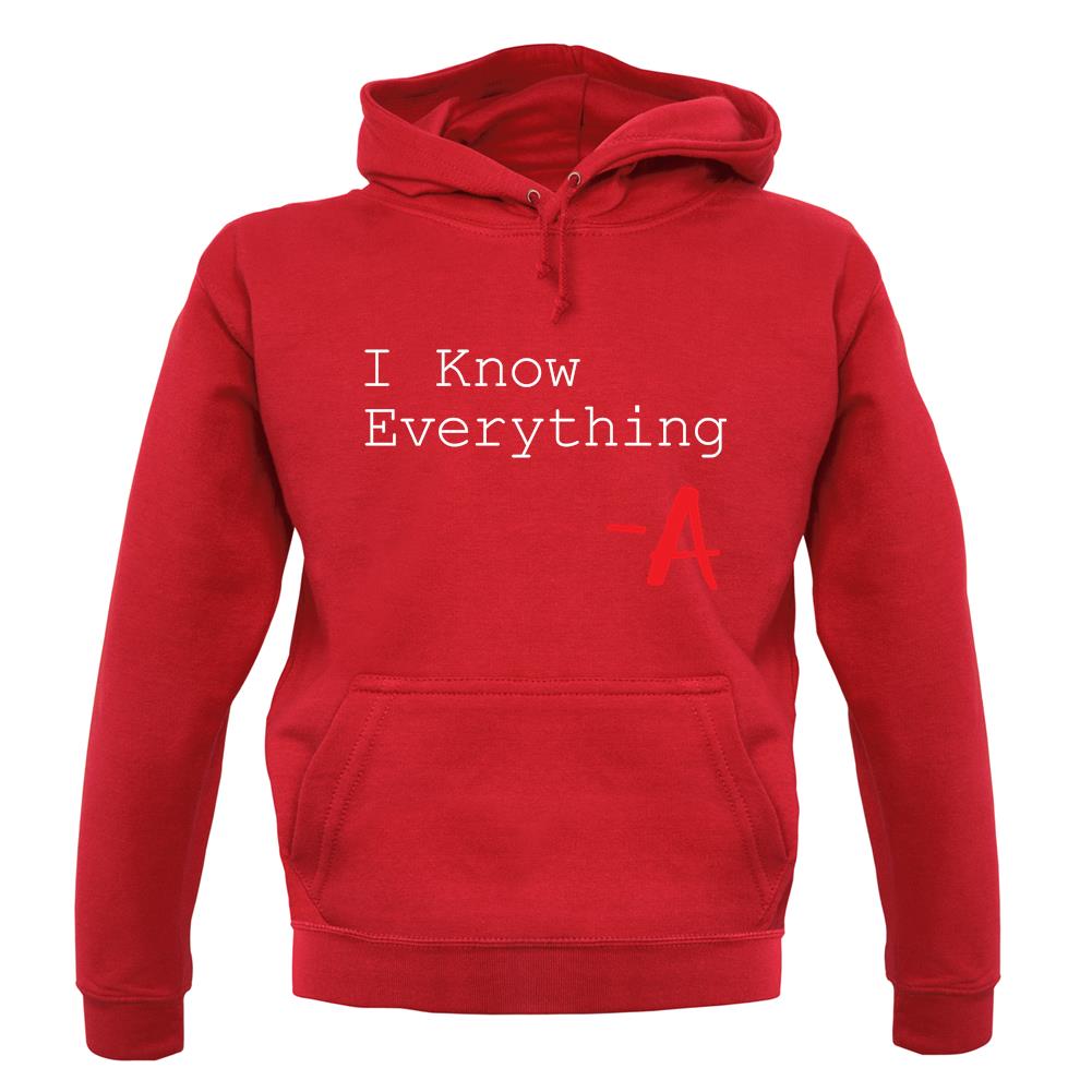 I Know Everything unisex hoodie