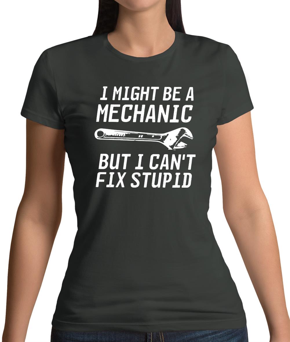 I Might Be A Mechanic But I Can't Fix Stupid Womens T-Shirt