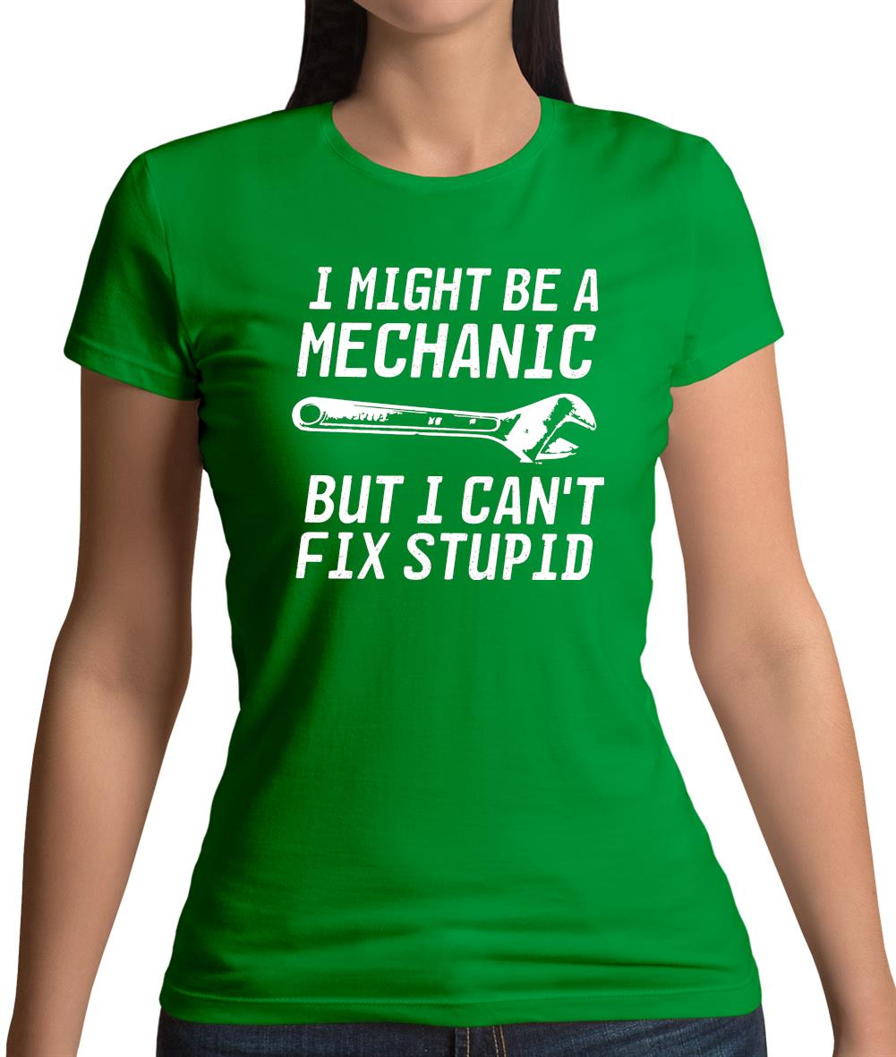 I Might Be A Mechanic But I Can't Fix Stupid Womens T-Shirt
