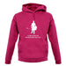 I Used To Be An Adventurer Like You unisex hoodie