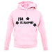 I'm Glamping unisex hoodie