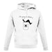 I'm Going To Belize unisex hoodie