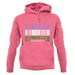 Lgbt Barcode Flags Gender Queer unisex hoodie
