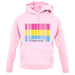 Lgbt Barcode Flags Pan Sexual unisex hoodie
