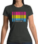 Lgbt Barcode Flags Pan Sexual Womens T-Shirt