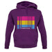 Lgbt Barcode Flags Pan Sexual unisex hoodie
