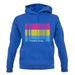 Lgbt Barcode Flags Pan Sexual unisex hoodie