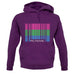 Lgbt Barcode Flags Polysexual unisex hoodie