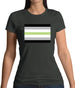 Lgbt Flags Agender Womens T-Shirt