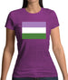 Lgbt Flags Gender Queer Womens T-Shirt