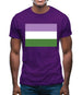 Lgbt Flags Gender Queer Mens T-Shirt