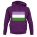 Lgbt Flags Gender Queer unisex hoodie