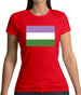 Lgbt Flags Gender Queer Womens T-Shirt