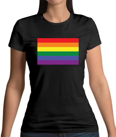 Lgbt Flags Lgbtq+ Womens T-Shirt