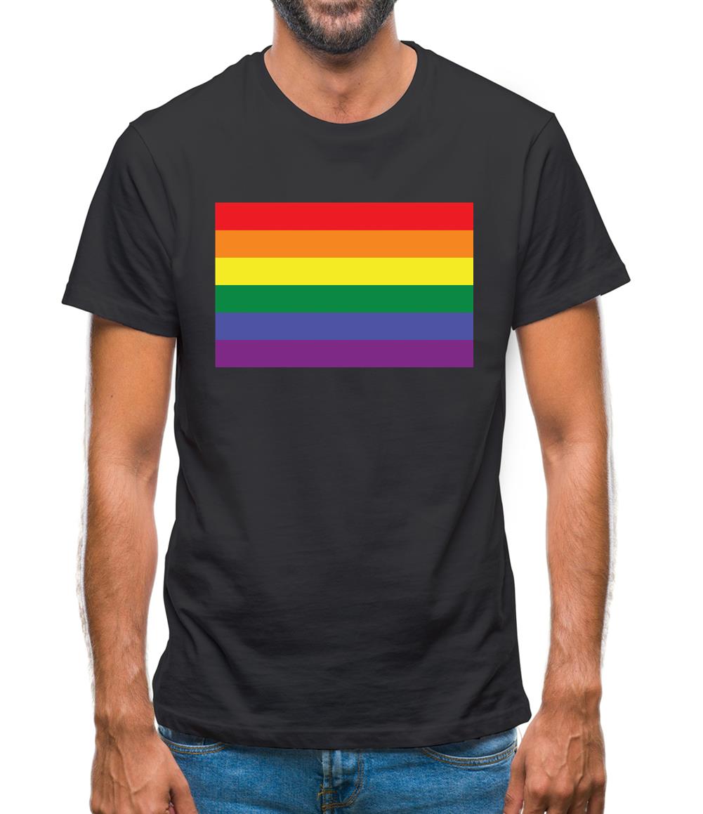 Lgbt Flags Lgbtq+ Mens T-Shirt