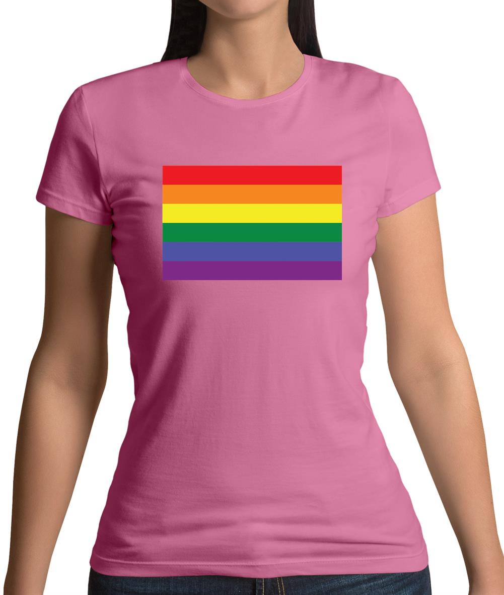 Lgbt Flags Lgbtq+ Womens T-Shirt
