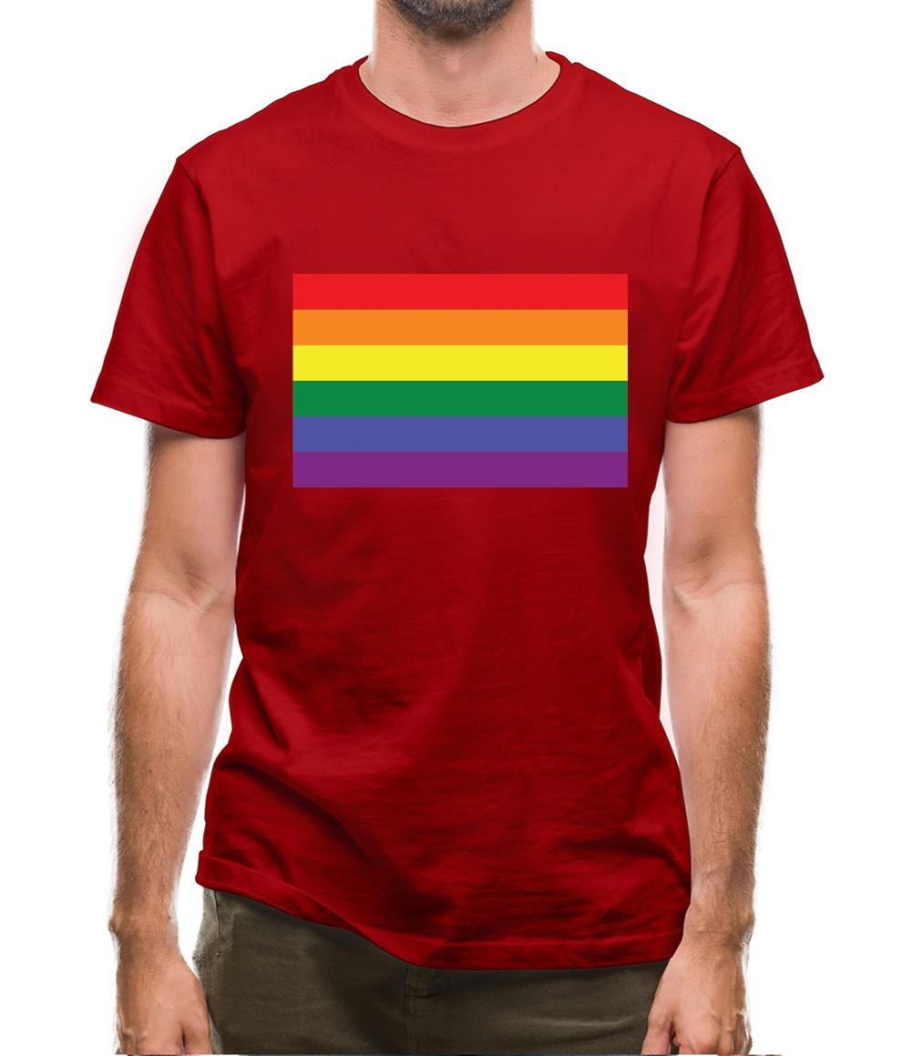 Lgbt Flags Lgbtq+ Mens T-Shirt