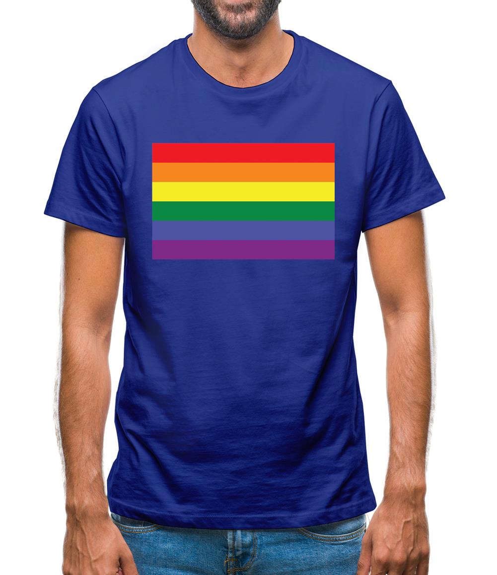 Lgbt Flags Lgbtq+ Mens T-Shirt