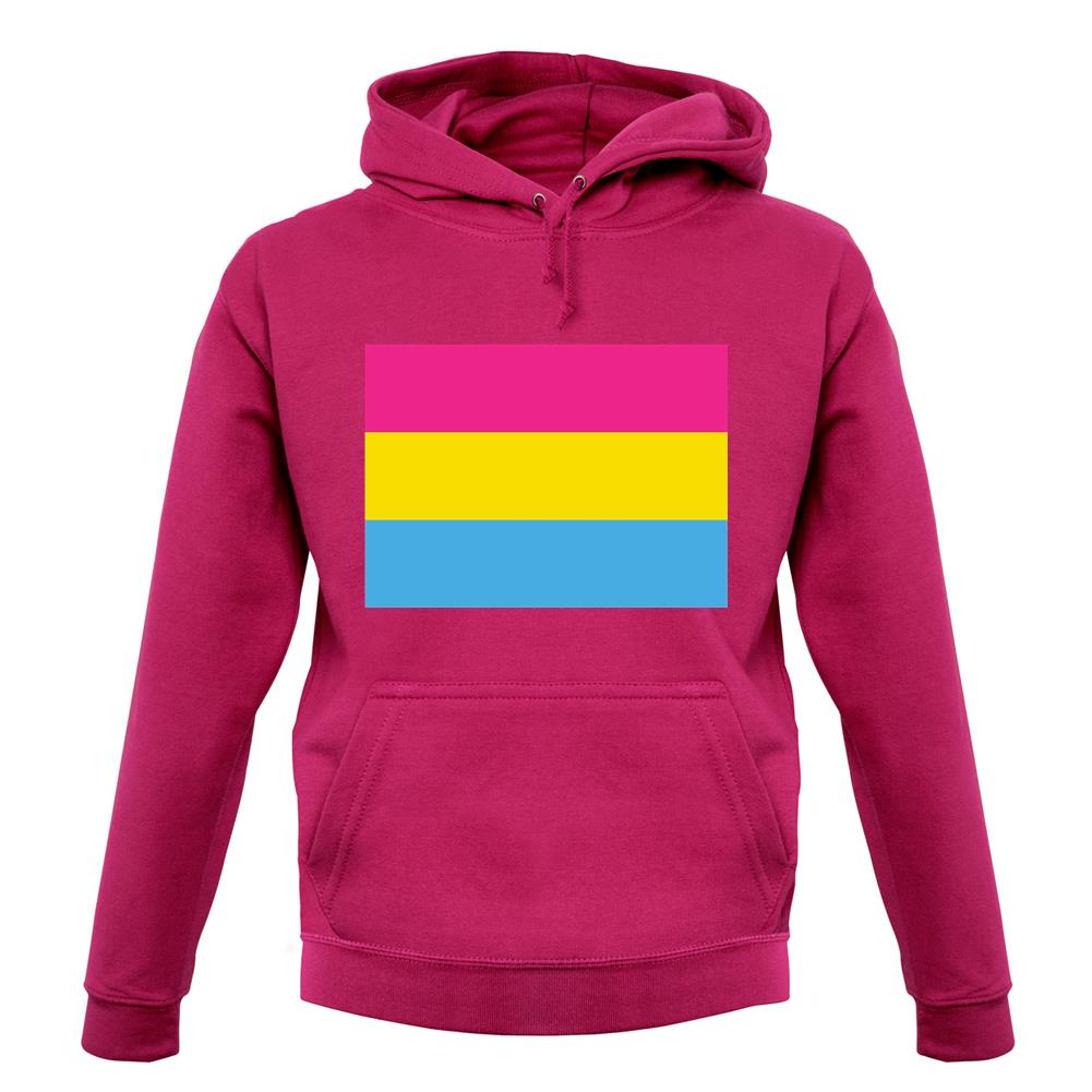 Lgbt Flags Pan Sexual unisex hoodie