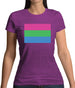 Lgbt Flags Polysexual Womens T-Shirt