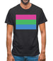 Lgbt Flags Polysexual Mens T-Shirt