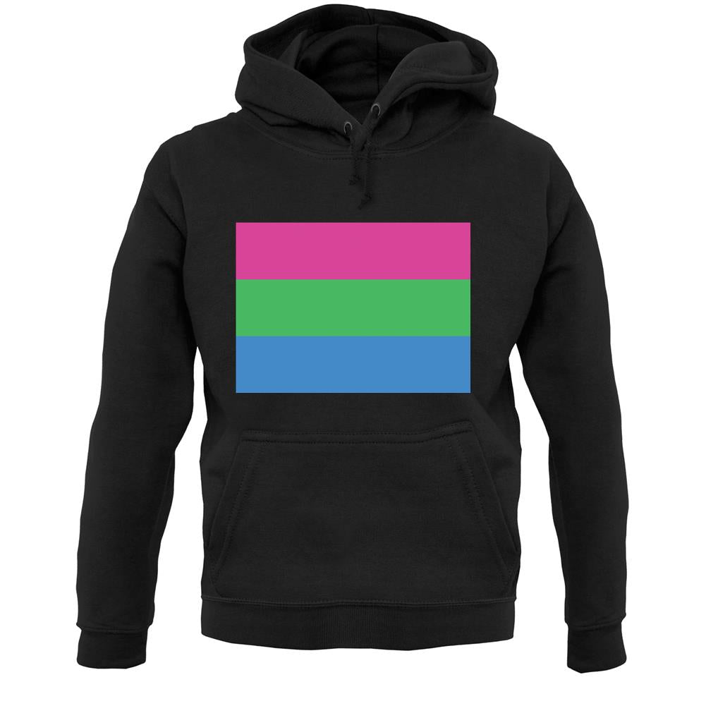 Lgbt Flags Polysexual Unisex Hoodie