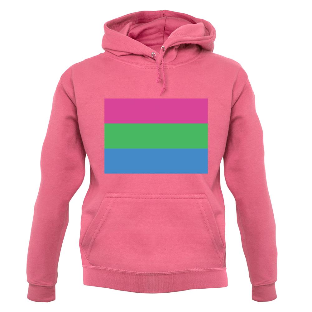 Lgbt Flags Polysexual unisex hoodie
