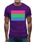 Lgbt Flags Polysexual Mens T-Shirt