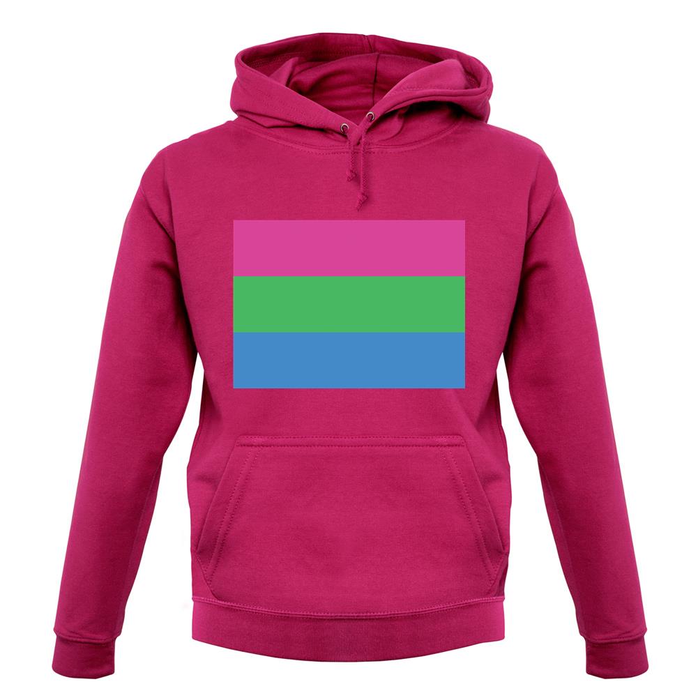 Lgbt Flags Polysexual unisex hoodie