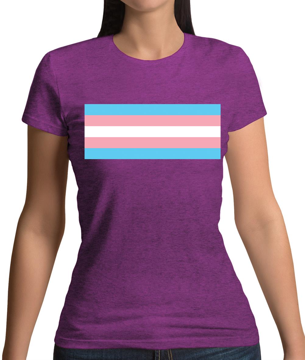 Lgbt Flags Transgender Womens T-Shirt