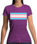 Lgbt Flags Transgender Womens T-Shirt