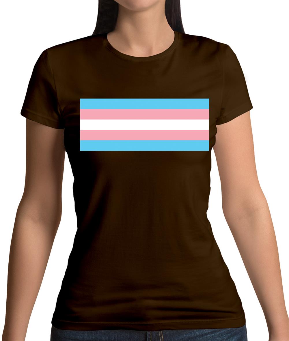 Lgbt Flags Transgender Womens T-Shirt
