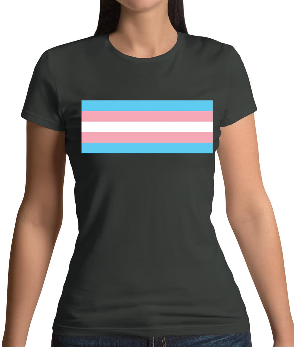 Lgbt Flags Transgender Womens T-Shirt