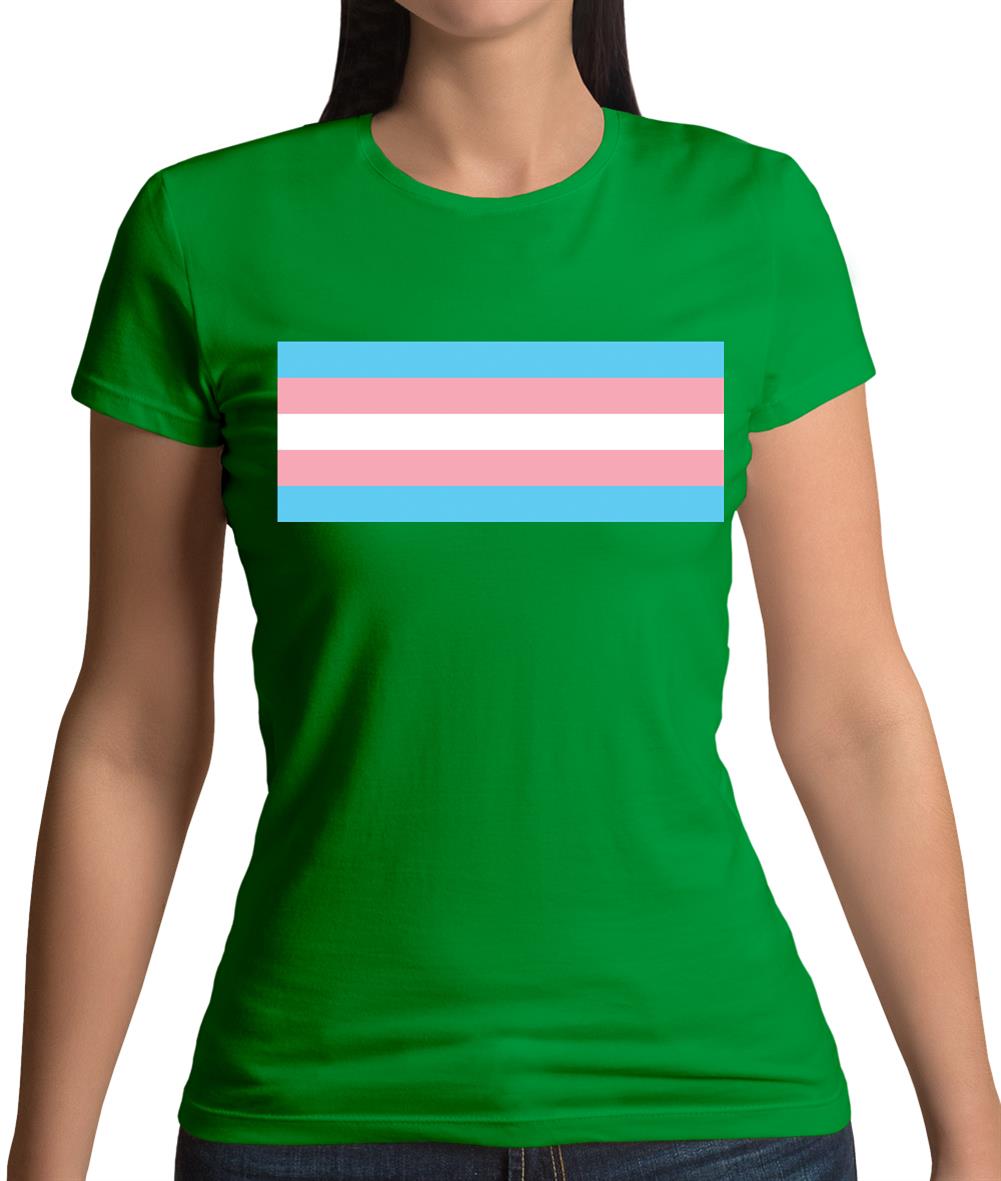 Lgbt Flags Transgender Womens T-Shirt