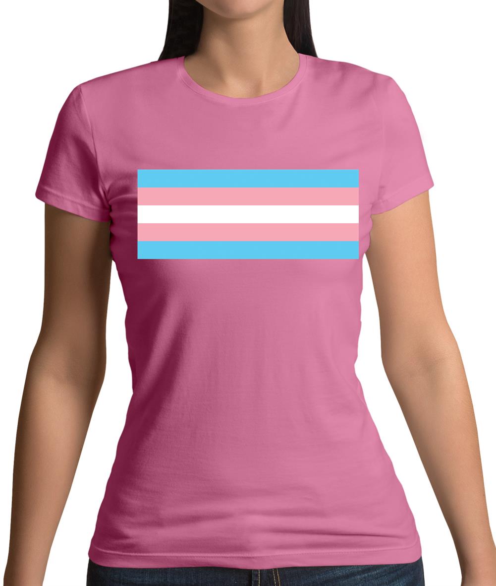 Lgbt Flags Transgender Womens T-Shirt