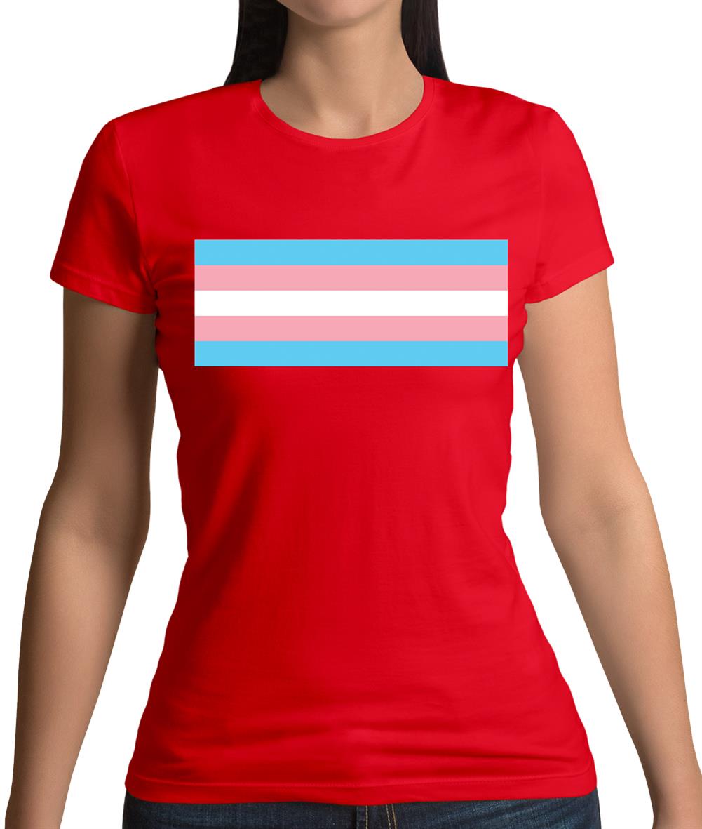 Lgbt Flags Transgender Womens T-Shirt